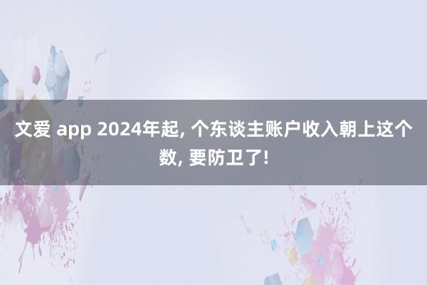 文爱 app 2024年起， 个东谈主账户收入朝上这个数， 要防卫了!