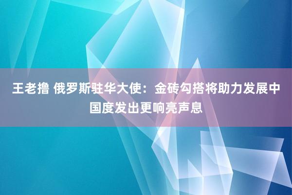 王老撸 俄罗斯驻华大使：金砖勾搭将助力发展中国度发出更响亮声息