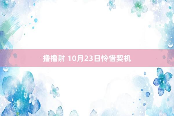 撸撸射 10月23日怜惜契机