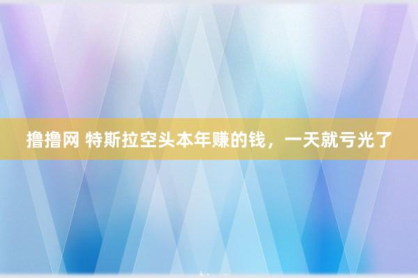 撸撸网 特斯拉空头本年赚的钱，一天就亏光了