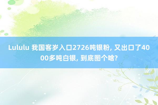 Lululu 我国客岁入口2726吨银粉， 又出口了4000多吨白银， 到底图个啥?