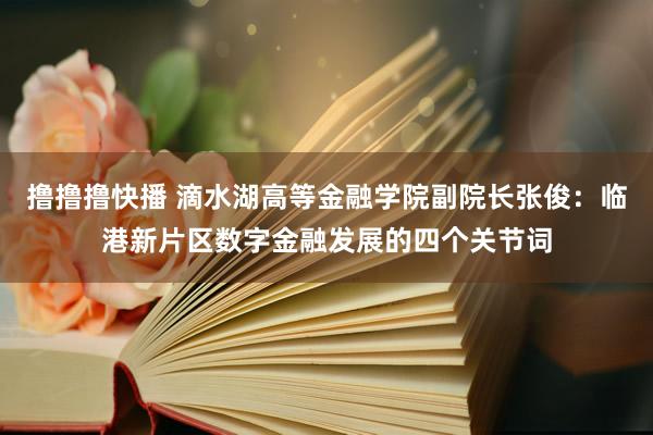 撸撸撸快播 滴水湖高等金融学院副院长张俊：临港新片区数字金融发展的四个关节词