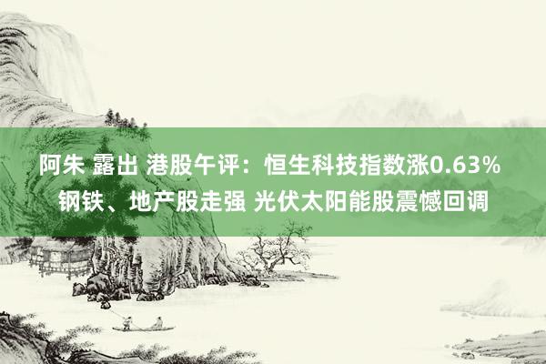 阿朱 露出 港股午评：恒生科技指数涨0.63% 钢铁、地产股走强 光伏太阳能股震憾回调