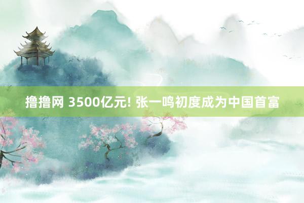 撸撸网 3500亿元! 张一鸣初度成为中国首富