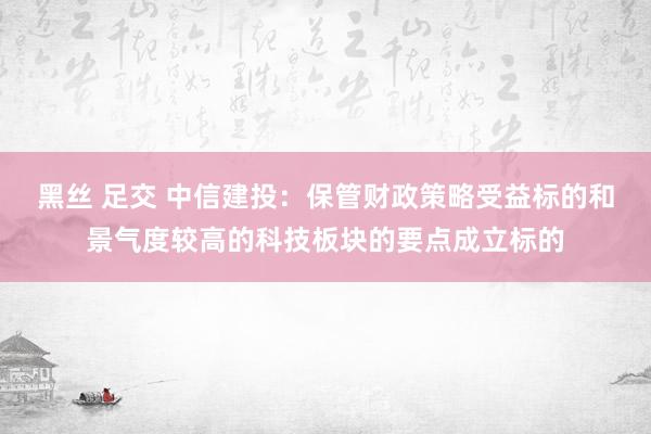 黑丝 足交 中信建投：保管财政策略受益标的和景气度较高的科技板块的要点成立标的