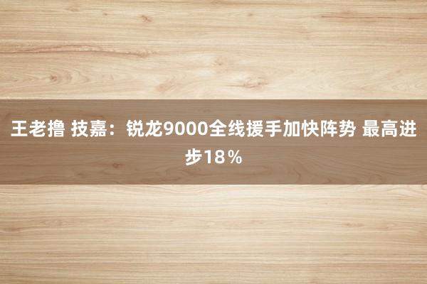 王老撸 技嘉：锐龙9000全线援手加快阵势 最高进步18％