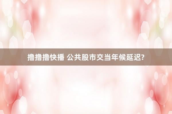 撸撸撸快播 公共股市交当年候延迟?