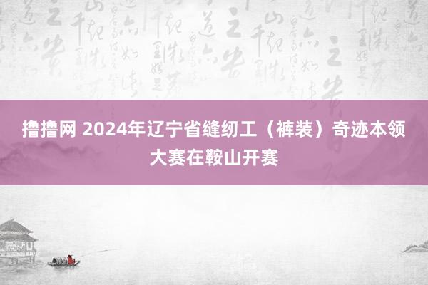 撸撸网 2024年辽宁省缝纫工（裤装）奇迹本领大赛在鞍山开赛