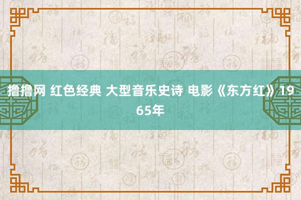 撸撸网 红色经典 大型音乐史诗 电影《东方红》1965年