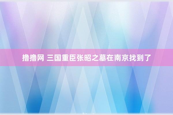 撸撸网 三国重臣张昭之墓在南京找到了