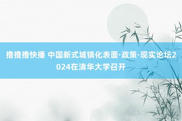 撸撸撸快播 中国新式城镇化表面·政策·现实论坛2024在清华大学召开