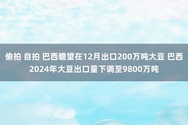 偷拍 自拍 巴西瞻望在12月出口200万吨大豆 巴西2024年大豆出口量下调至9800万吨