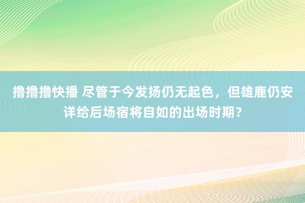 撸撸撸快播 尽管于今发扬仍无起色，但雄鹿仍安详给后场宿将自如的出场时期？