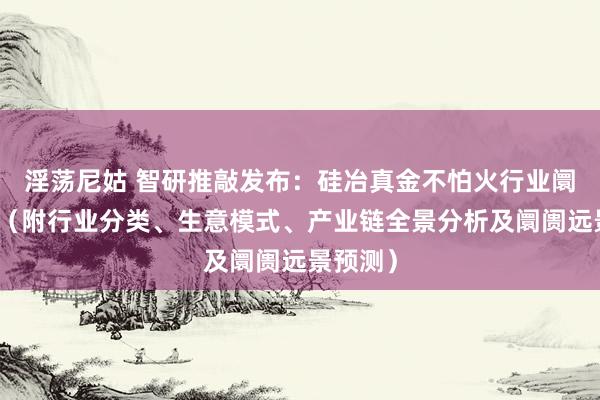 淫荡尼姑 智研推敲发布：硅冶真金不怕火行业阛阓分析（附行业分类、生意模式、产业链全景分析及阛阓远景预测）