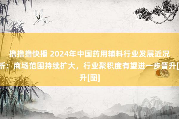 撸撸撸快播 2024年中国药用辅料行业发展近况简析：商场范围持续扩大，行业聚积度有望进一步晋升[图]