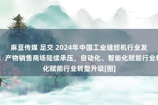 麻豆传媒 足交 2024年中国工业缝纫机行业发展出路预测：产物销售商场陆续承压，自动化、智能化赋能行业转型升级[图]