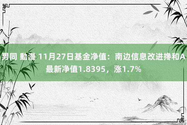 男同 動漫 11月27日基金净值：南边信息改进搀和A最新净值1.8395，涨1.7%