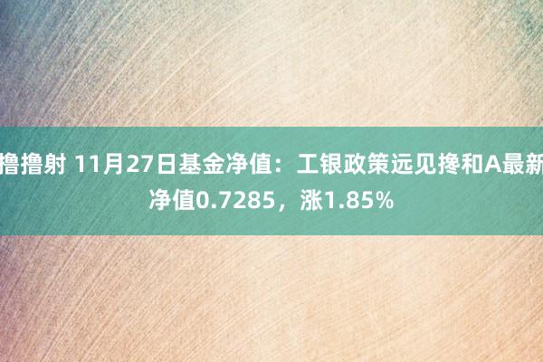 撸撸射 11月27日基金净值：工银政策远见搀和A最新净值0.7285，涨1.85%