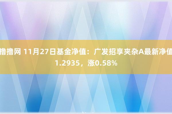 撸撸网 11月27日基金净值：广发招享夹杂A最新净值1.2935，涨0.58%