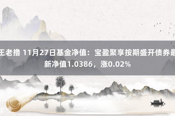 王老撸 11月27日基金净值：宝盈聚享按期盛开债券最新净值1.0386，涨0.02%