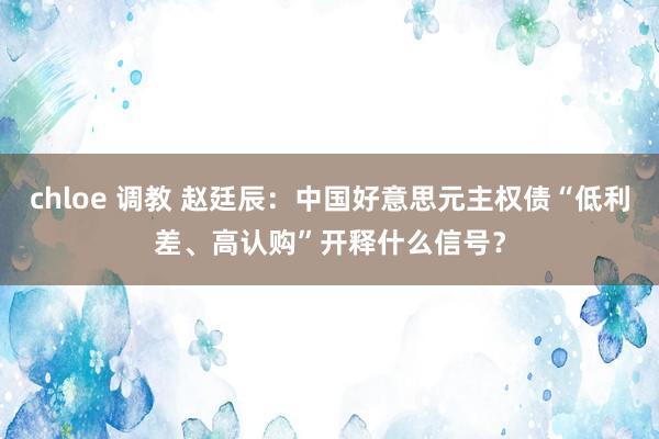 chloe 调教 赵廷辰：中国好意思元主权债“低利差、高认购”开释什么信号？