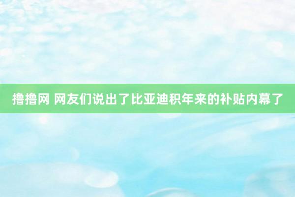 撸撸网 网友们说出了比亚迪积年来的补贴内幕了