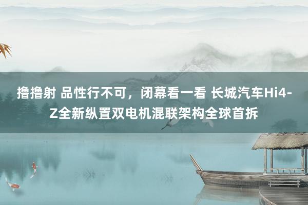 撸撸射 品性行不可，闭幕看一看 长城汽车Hi4-Z全新纵置双电机混联架构全球首拆