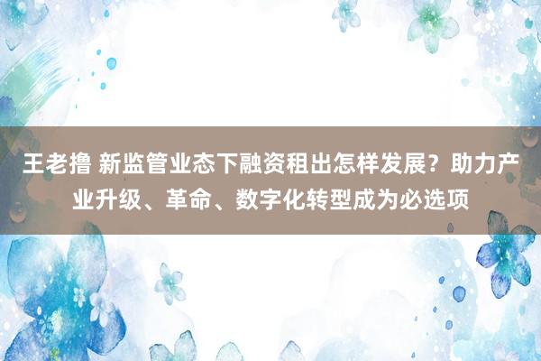 王老撸 新监管业态下融资租出怎样发展？助力产业升级、革命、数字化转型成为必选项