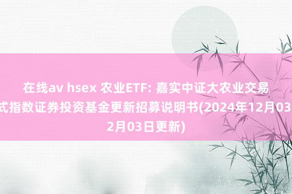 在线av hsex 农业ETF: 嘉实中证大农业交易型灵通式指数证券投资基金更新招募说明书(2024年12月03日更新)