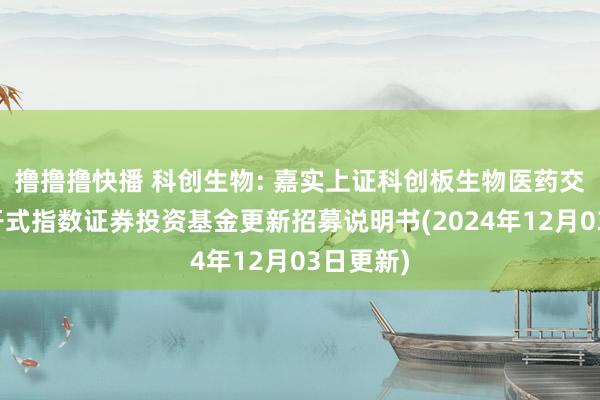 撸撸撸快播 科创生物: 嘉实上证科创板生物医药交易型洞开式指数证券投资基金更新招募说明书(2024年12月03日更新)