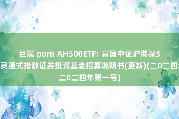 巨屌 porn AH500ETF: 富国中证沪港深500来往型灵通式指数证券投资基金招募说明书(更新)(二0二四年第一号)