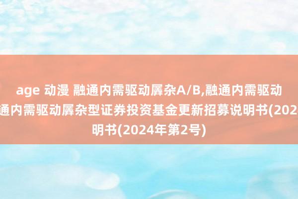 age 动漫 融通内需驱动羼杂A/B，融通内需驱动羼杂C: 融通内需驱动羼杂型证券投资基金更新招募说明书(2024年第2号)