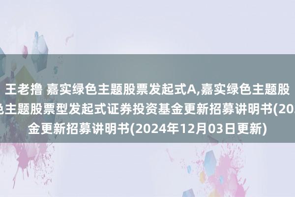 王老撸 嘉实绿色主题股票发起式A，嘉实绿色主题股票发起式C: 嘉实绿色主题股票型发起式证券投资基金更新招募讲明书(2024年12月03日更新)