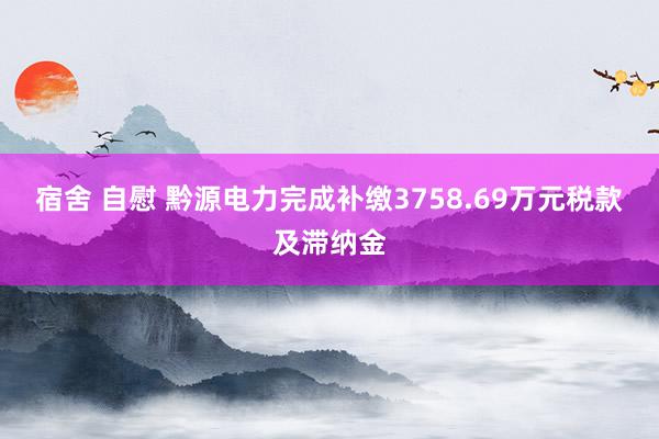 宿舍 自慰 黔源电力完成补缴3758.69万元税款及滞纳金