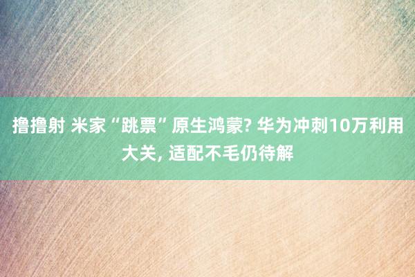 撸撸射 米家“跳票”原生鸿蒙? 华为冲刺10万利用大关， 适配不毛仍待解