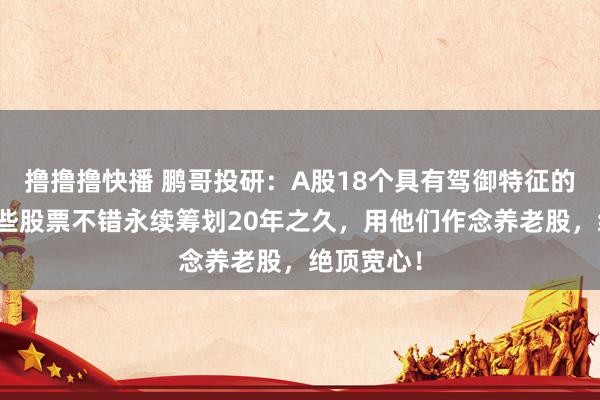 撸撸撸快播 鹏哥投研：A股18个具有驾御特征的股票，这些股票不错永续筹划20年之久，用他们作念养老股，绝顶宽心！