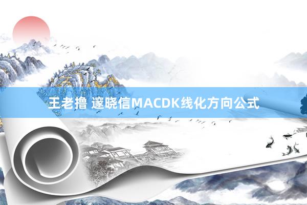 王老撸 邃晓信MACDK线化方向公式