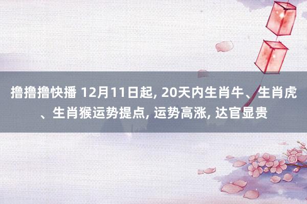 撸撸撸快播 12月11日起， 20天内生肖牛、生肖虎、生肖猴运势提点， 运势高涨， 达官显贵