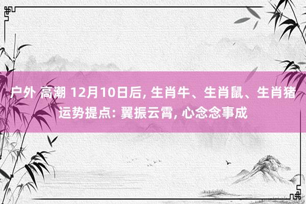 户外 高潮 12月10日后， 生肖牛、生肖鼠、生肖猪运势提点: 翼振云霄， 心念念事成