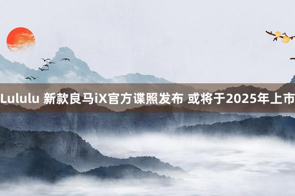 Lululu 新款良马iX官方谍照发布 或将于2025年上市