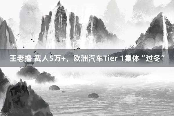 王老撸 裁人5万+，欧洲汽车Tier 1集体“过冬”