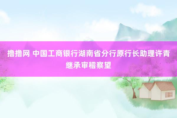 撸撸网 中国工商银行湖南省分行原行长助理许青继承审稽察望