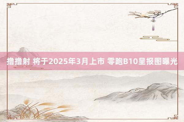 撸撸射 将于2025年3月上市 零跑B10呈报图曝光