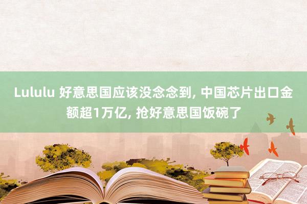 Lululu 好意思国应该没念念到， 中国芯片出口金额超1万亿， 抢好意思国饭碗了