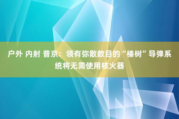 户外 内射 普京：领有弥散数目的“榛树”导弹系统将无需使用核火器