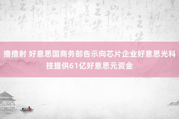 撸撸射 好意思国商务部告示向芯片企业好意思光科技提供61亿好意思元资金