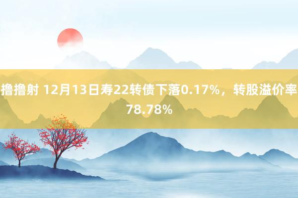 撸撸射 12月13日寿22转债下落0.17%，转股溢价率78.78%