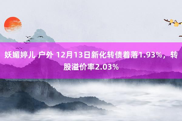 妖媚婷儿 户外 12月13日新化转债着落1.93%，转股溢价率2.03%