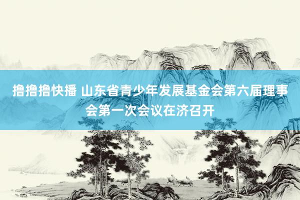 撸撸撸快播 山东省青少年发展基金会第六届理事会第一次会议在济召开