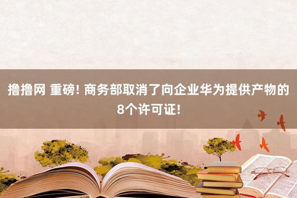 撸撸网 重磅! 商务部取消了向企业华为提供产物的8个许可证!